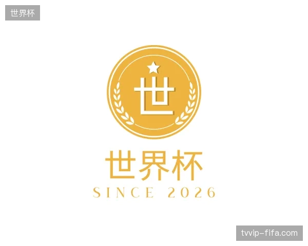 关于世界杯官方入口